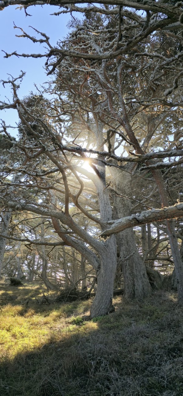 Cypress Grove Trail 3