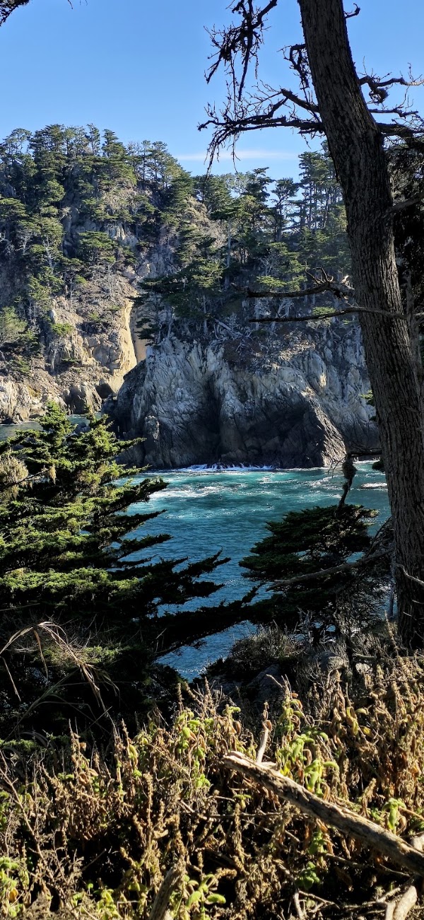 Cypress Grove Trail 2
