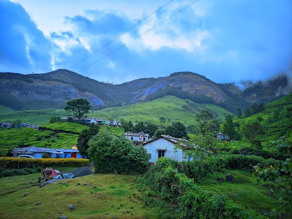 Suryanelli