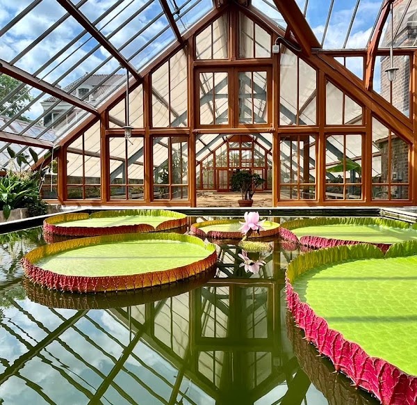Oude Hortus 5