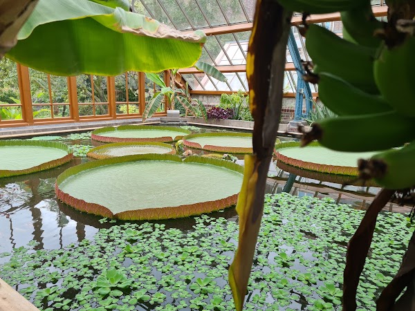Oude Hortus 3