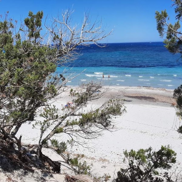 Capo Comino 2