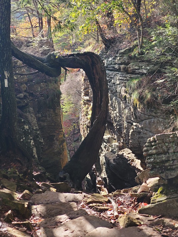 Stone Door Road 5