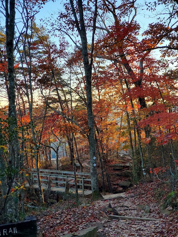 Stone Door Road 4