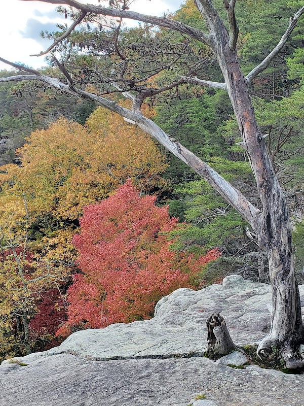 Stone Door Road 2