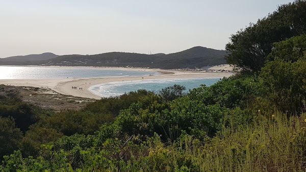 Shark Island