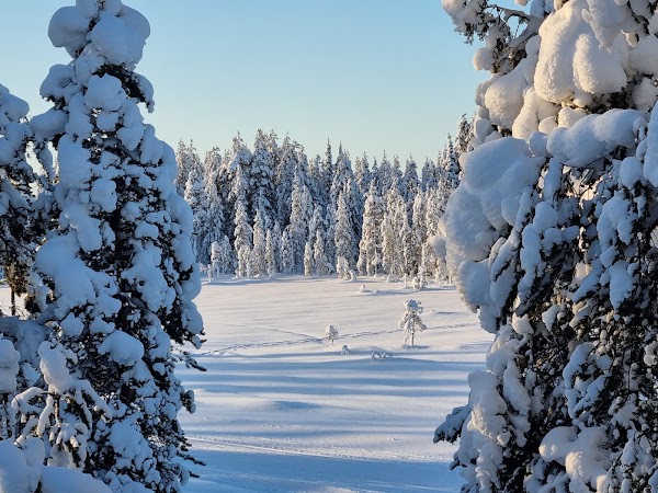 Ylläsjärvi