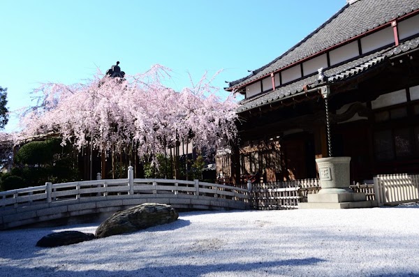 Kasukabe 3