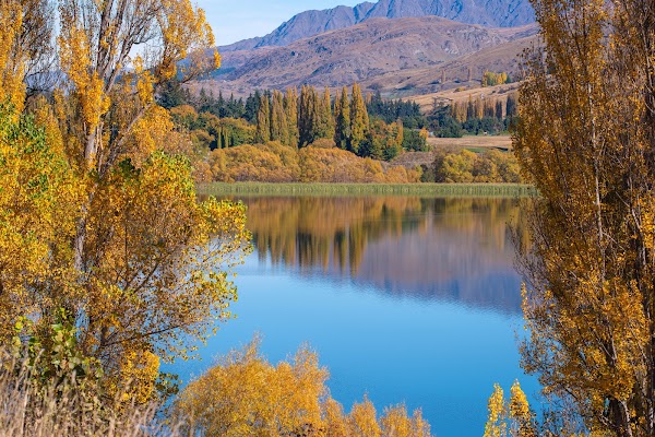 Lake Hayes Viewpoint