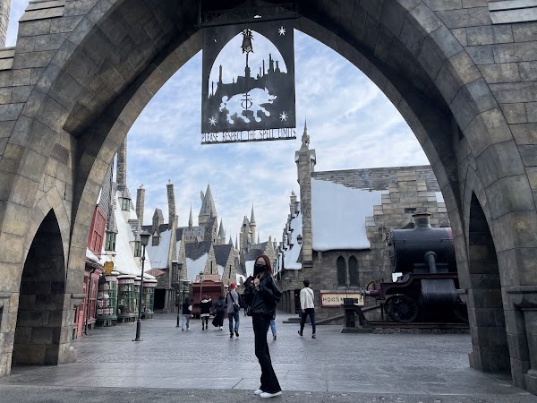 The Wizarding World Of Harry Potter 4