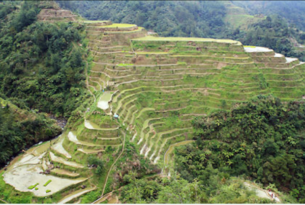 Banaue