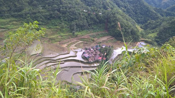 Banaue 5
