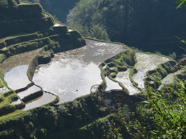 Banaue 4