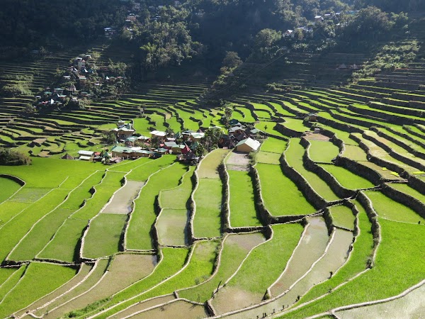 Banaue 2