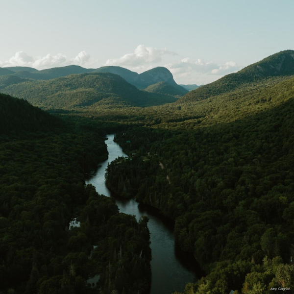 Vallée Bras-du-Nord, Accueil Shannahan