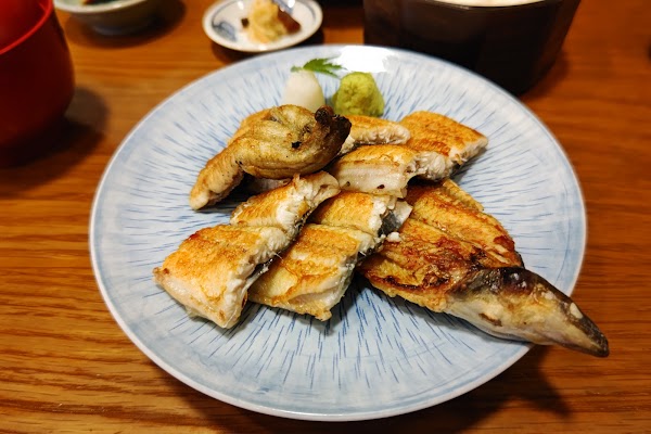 Honke Shibato 5