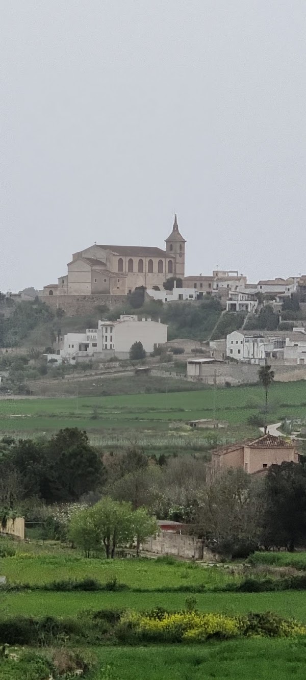 Port de Pollença 4