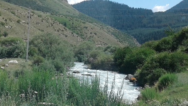 Teploklyuchenka