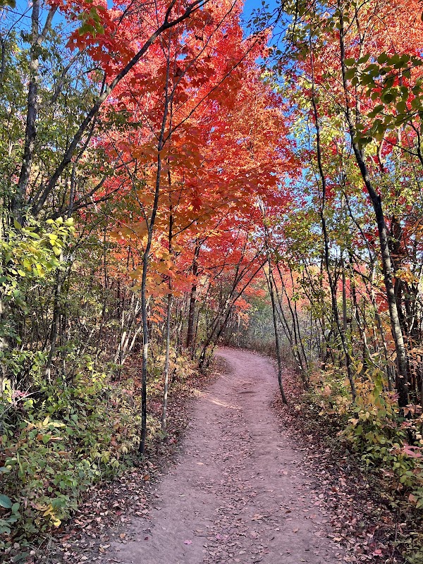 Cheltenham Badlands 2