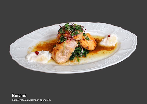 Opera Grill 5