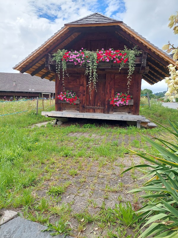 Sigriswil 3