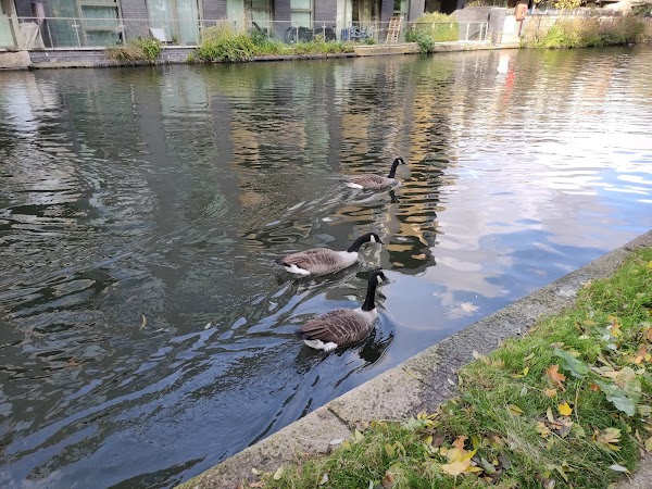 Little Venice 1