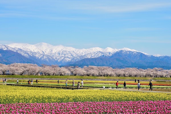 Spring Quartet