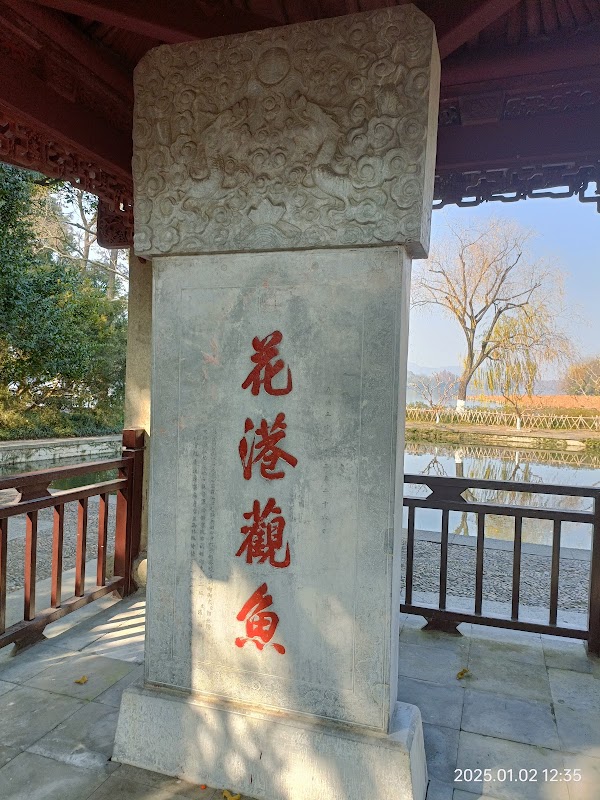 花港观鱼 5
