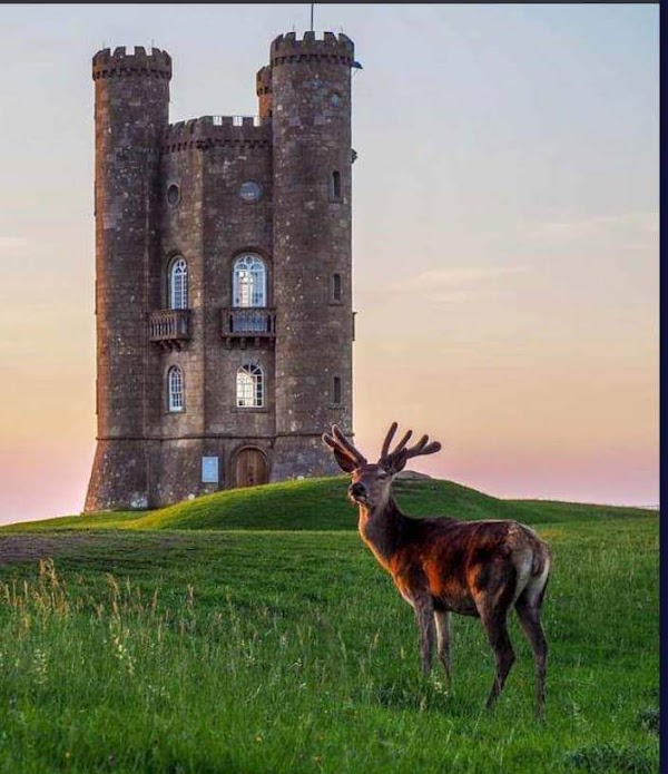 Cotswolds AONB 3