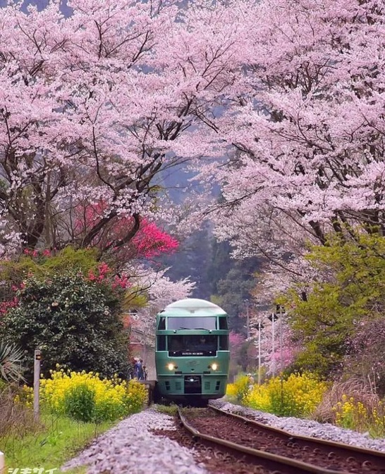 Oita 2