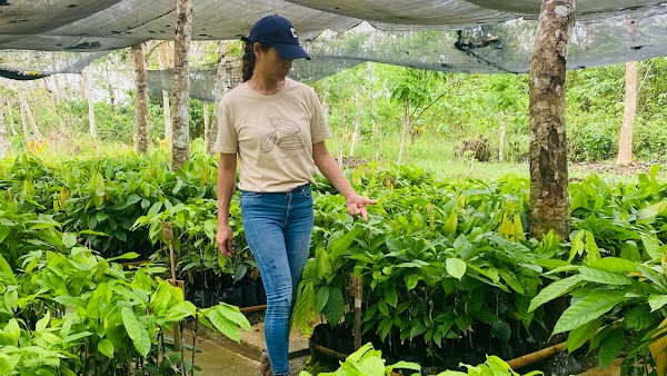 Bohol Chocolate Farm