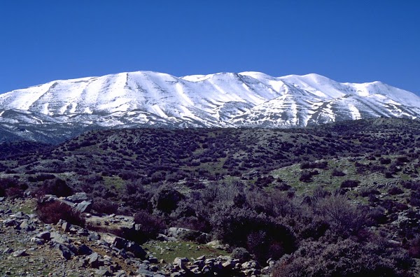 Mount Ida