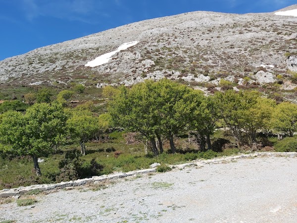 Mount Ida 3