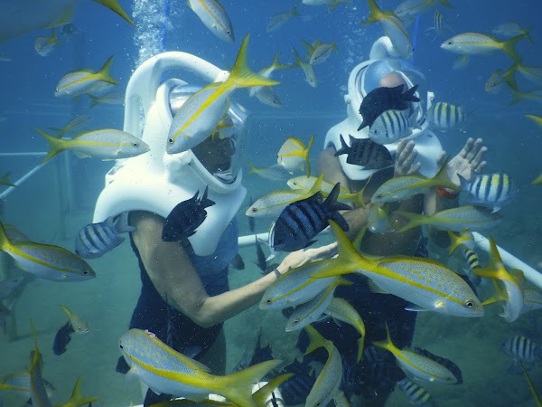Sea Trek Helmet Diving