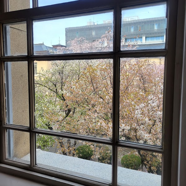 Kyoto Prefectural Office - Former Main Building 2