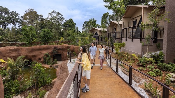 Glamping in the Wild - Crocodile Lodge