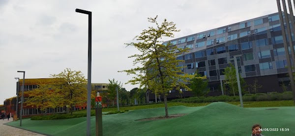 WU Executive Academy 2
