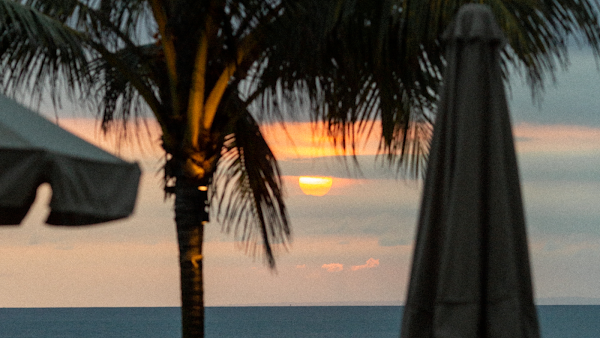 The Lawn Canggu Beach Club 3
