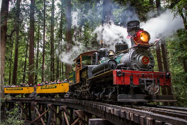 Roaring Camp 5