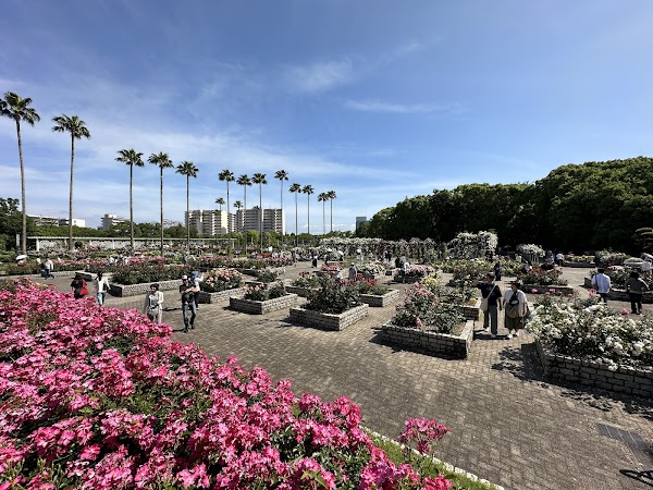 Nagai Botanical Garden 6