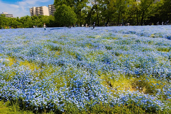 Nagai Botanical Garden 4