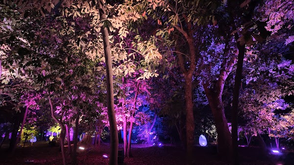 Nagai Botanical Garden 3