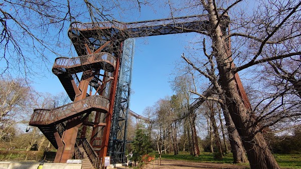 Treetop Walkway 1