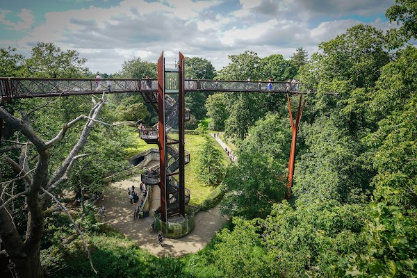 Treetop Walkway 4