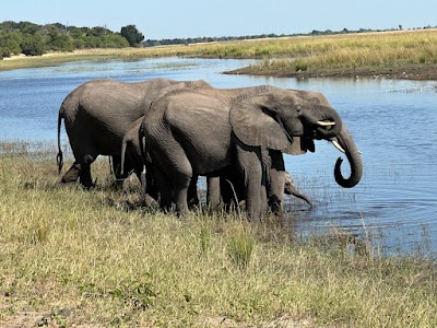 Chobe National Park