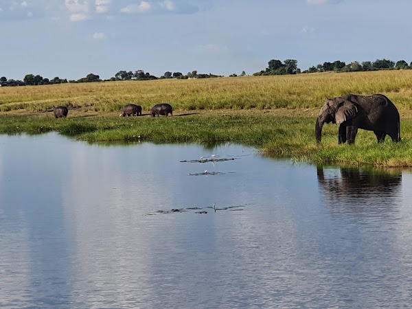 Chobe National Park 5
