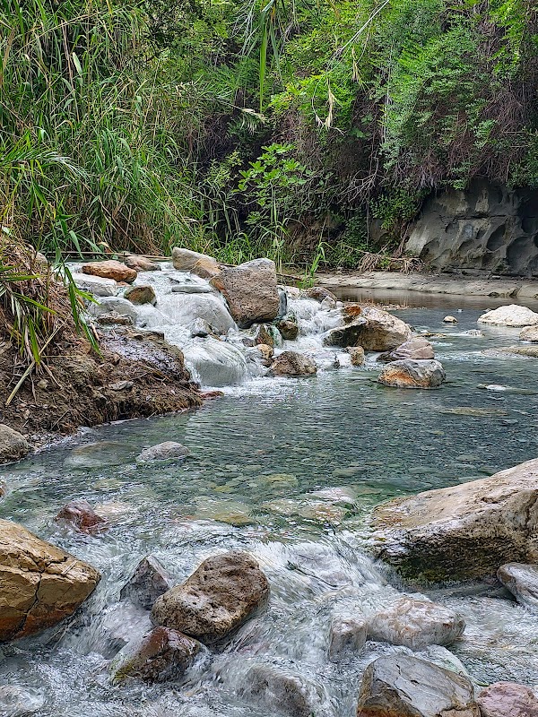Baños de la Hedionda de Casares - Espacio Natural 5
