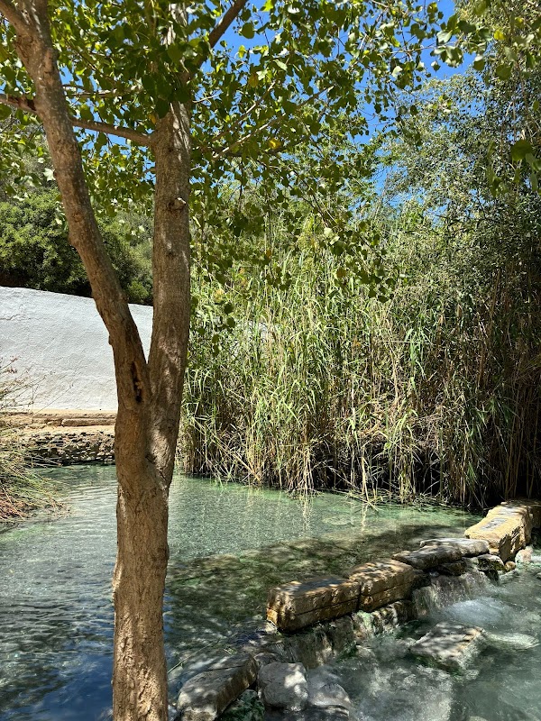 Baños de la Hedionda de Casares - Espacio Natural 3