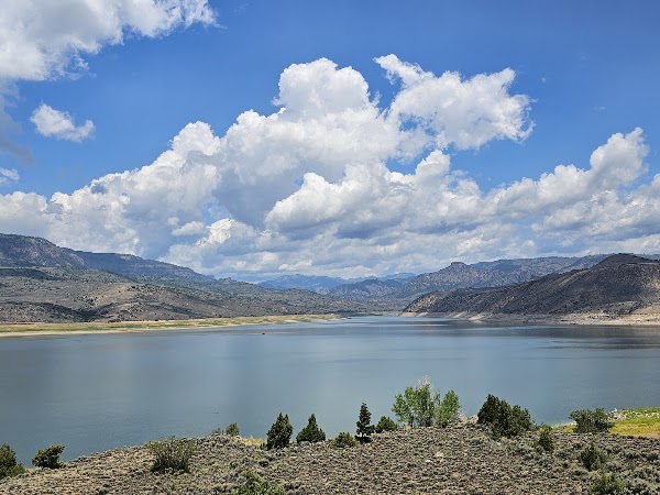 Colorado 45
