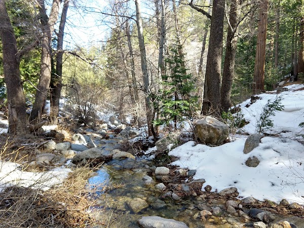 Cooper Canyon Falls 4